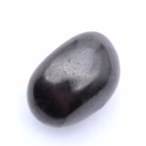 Ciottolo di shungite