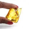 Ambra - 2