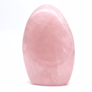 Quarto di rosa di raccolta