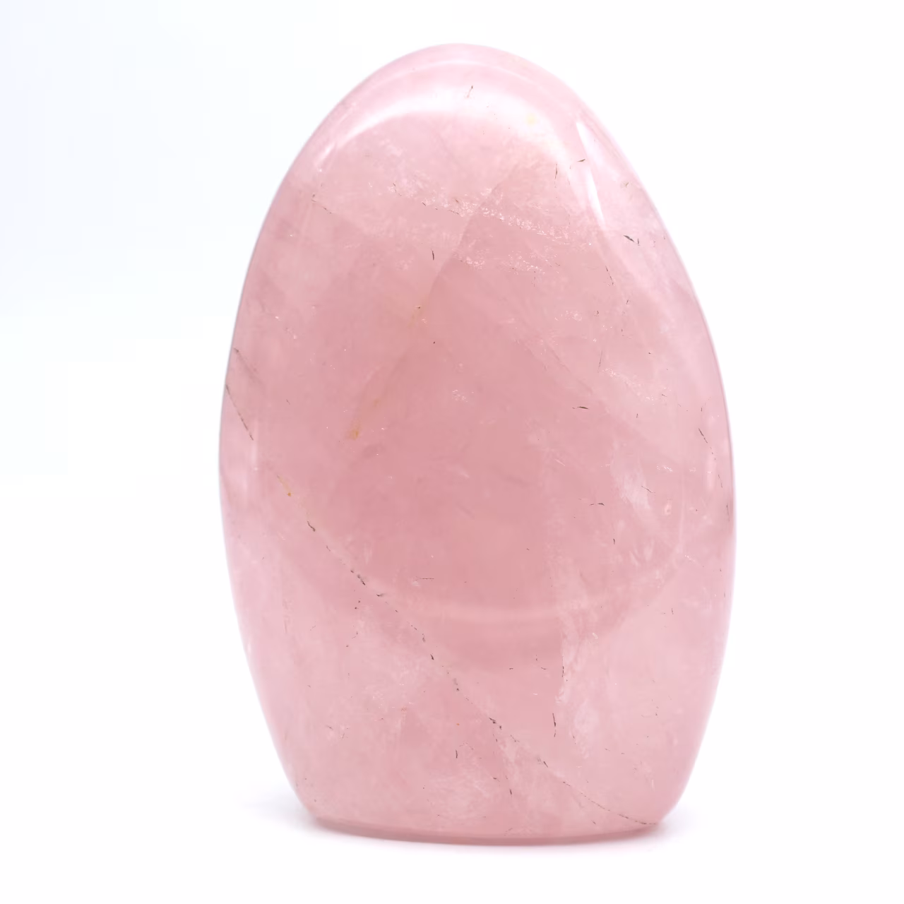 Quarto di rosa di raccolta