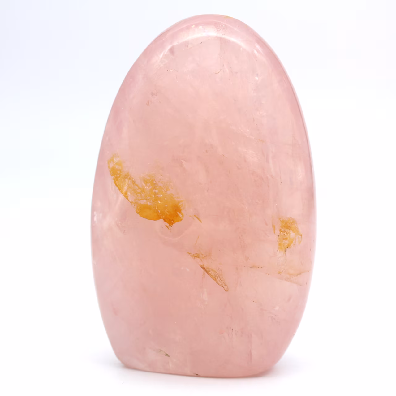 Quarto di rosa ornamentale