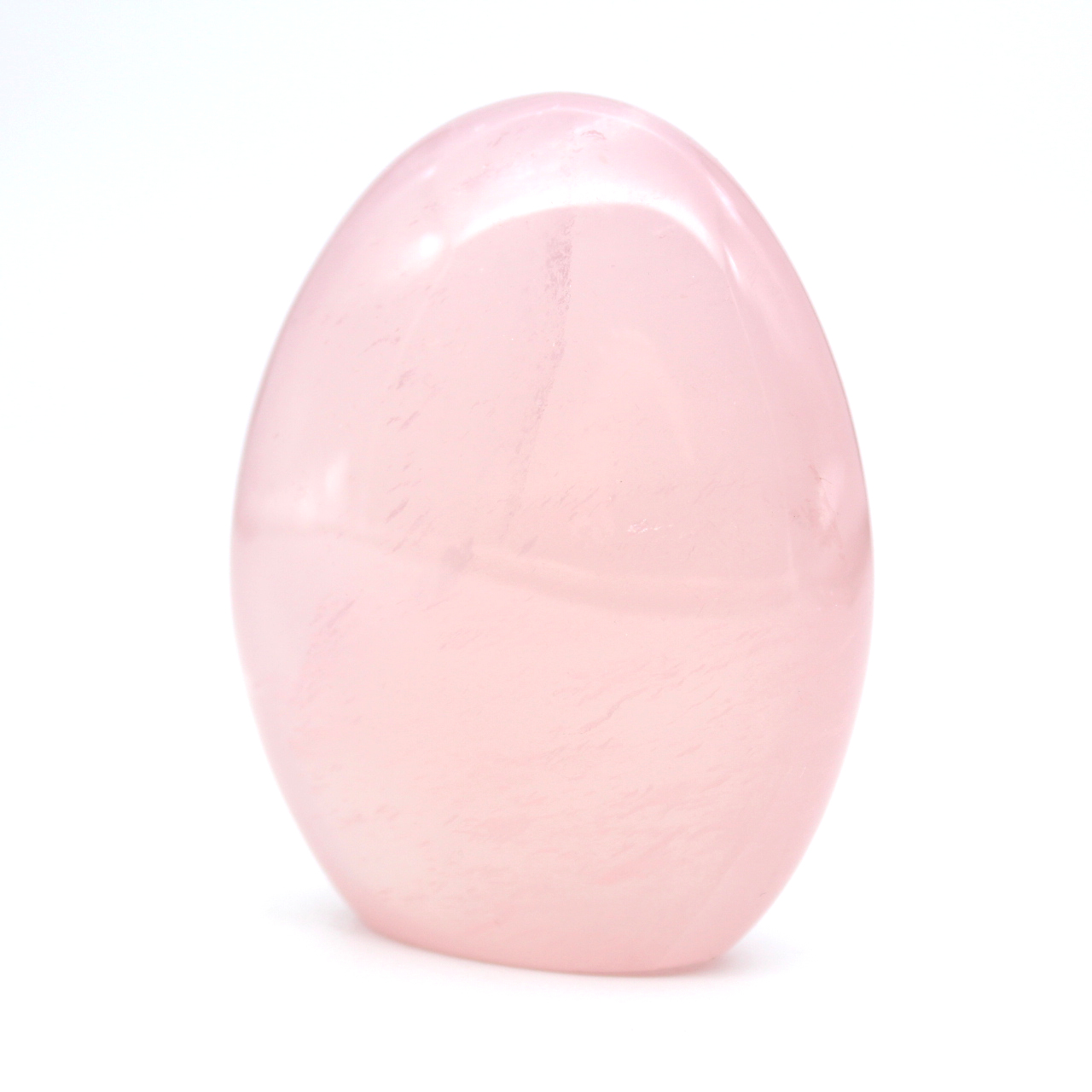 Quarto di rosa naturale da collezione