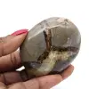 Ciottolo nel septaria - 0