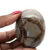 Ciottolo nel septaria - 1