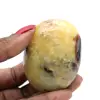 Ciottolo nel septaria - 1
