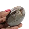 Ciottolo nel septaria - 0