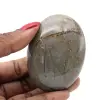 Ciottolo nel septaria - 1