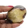 Ciottolo nel septaria - 0