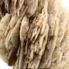 Barite bianca - 5