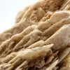 Barite bianca - 8
