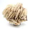 Barite bianca - 2