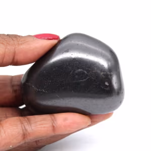 Pietra shungite