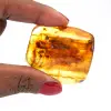 Giallo ambra - 0
