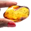 Ambra naturale - 0