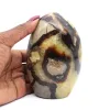 Septaria lucidata a forma libera - 0