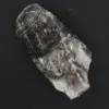 Roccia di diaspro zebrato - 1