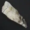Pietra di diaspro zebrato - 2
