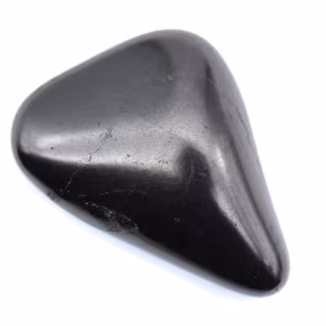 Pietra levigata di shungite