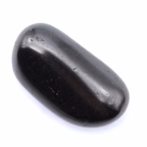 Shungite ornamentale