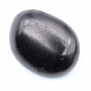 Ciottolo di shungite