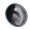 Shungite levigata - 0