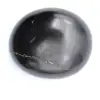Shungite levigata - 1