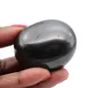 Shungite levigata - 2