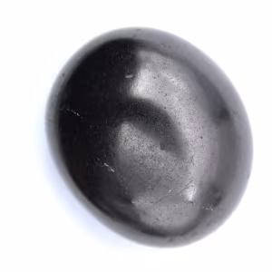 Shungite levigata