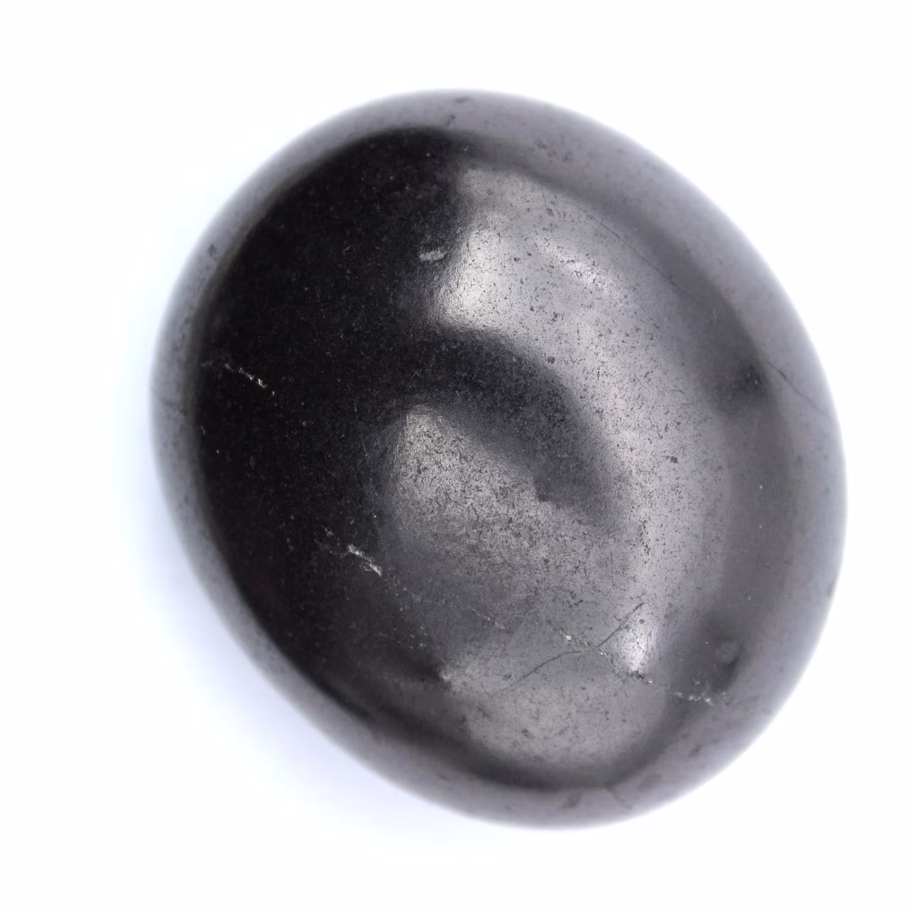 Shungite levigata