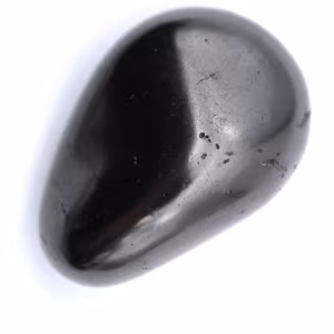 Ciottolo di shungite
