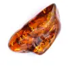 Ambra fossile - 0