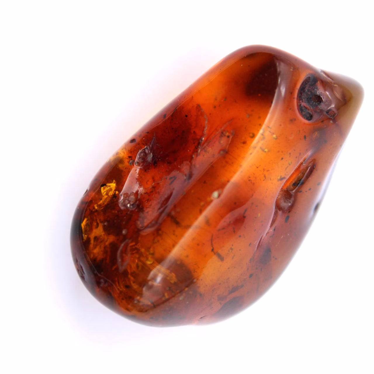 Ambra fossile