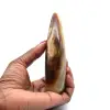 Bastone di calcite - 6