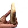 Bastone di calcite - 8