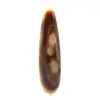 Bastone di calcite - 1