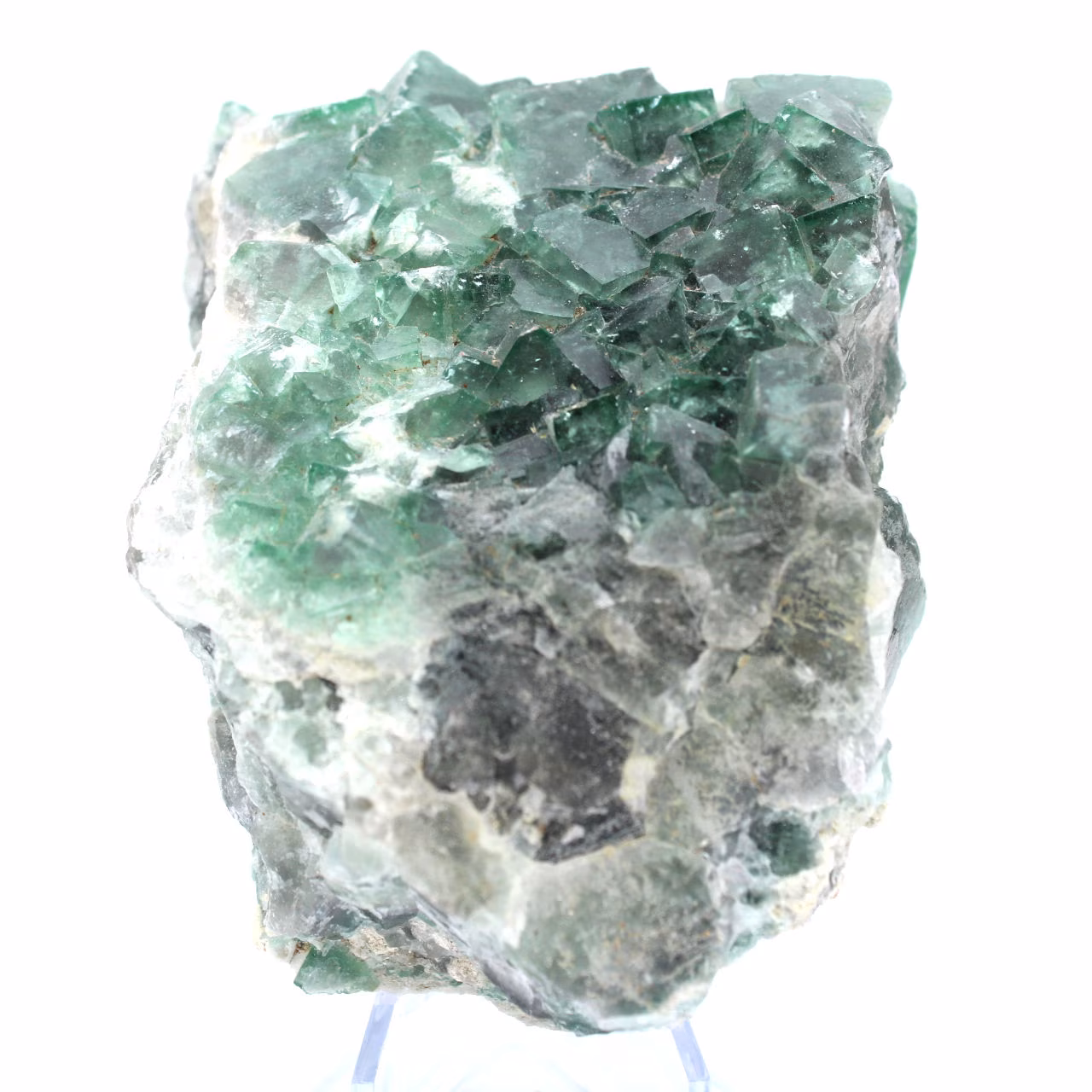 Cristalli cubici di fluorite sulla ganga