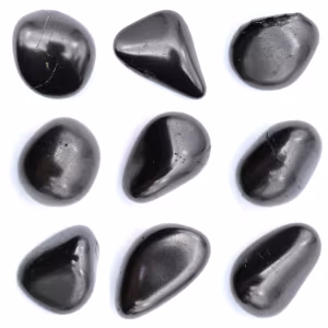 Pietra shungite