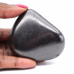 Ciottolo di shungite