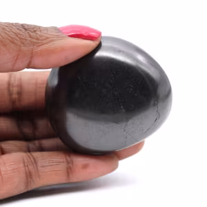 Pietra levigata di shungite