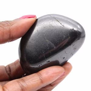 Shungite ornamentale