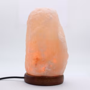 Lampada con roccia di sale dell'Himalaya