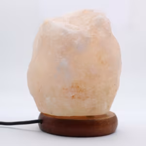 Lampada di sale dell'Himalaya