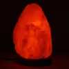 Lampada di sale rosa dell'Himalaya - 1