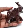 Elefante - 3