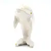 Delfino - 1