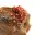 Vanadinite cristallizzata — 9