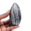 Orthoceras fossili dal Marocco - 0