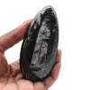 Orthoceras fossile lucidato - 0
