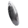 Fossile di Orthoceras Marocco - 2