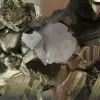 Grandi cristalli di pirite con calcite - 10